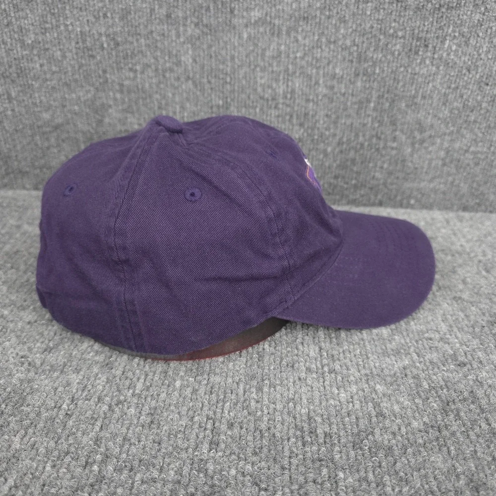 Washington Huskies Hat Cap Strap Back Adjustable Purple NCAA Football Zephyr Men